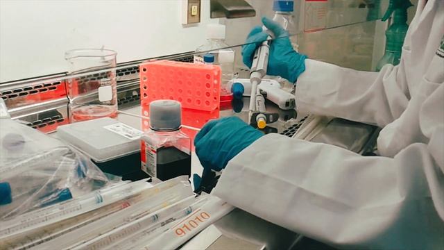 Bio-rad cell counting смотреть онлайн