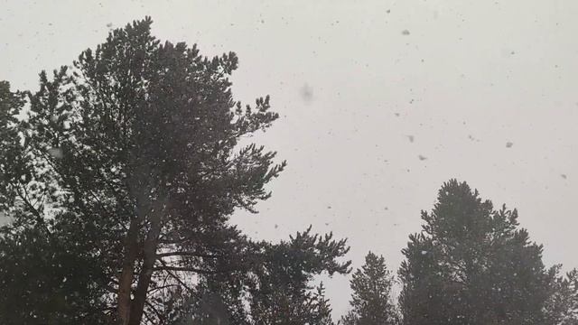 Снег 8 мая (обновлено) смотреть онлайн
