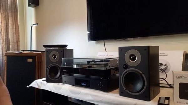 Обзор активных акустических систем Magnat. Стоимость от 35тр.