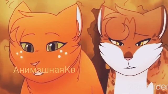 Коты воители - Я люблю тебя давно смотреть онлайн
