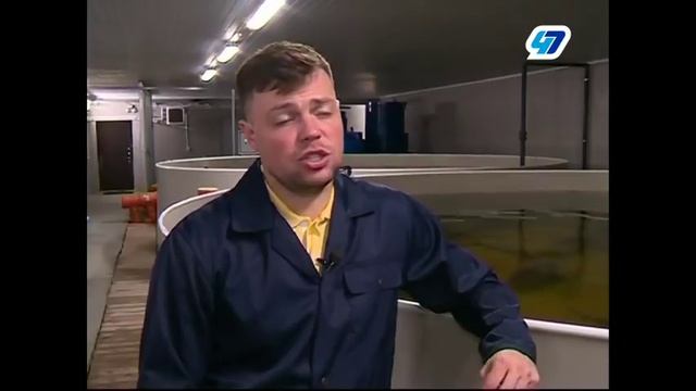 Фермерское осетровое хозяйство "АкваФерма" смотреть онлайн
