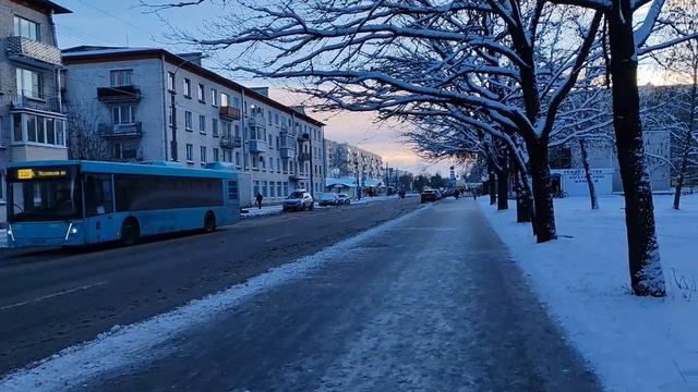 Honor 200 тест видео на популярный телефон #рыжийтест #Япестовв #ZOO смотреть онлайн