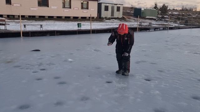 19-01-2025 смотреть онлайн