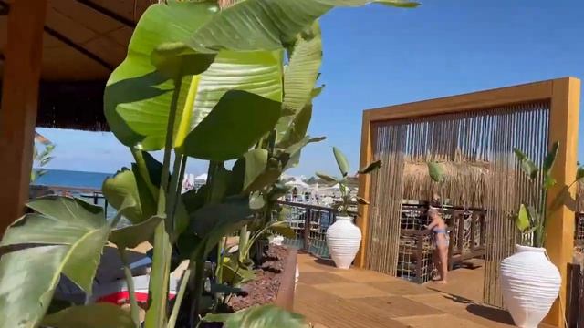 BLUE MARLIN DELUXE SPA & RESORT 5* ! Новый Супер классный отель 2021 года в Аланьи ! смотреть онлайн