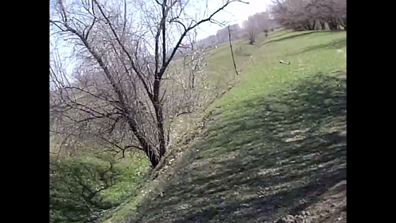 02.04.2024 ЧТО ДЕЛАТЬ? : ЛПХ В ОПАСНОСТИ смотреть онлайн