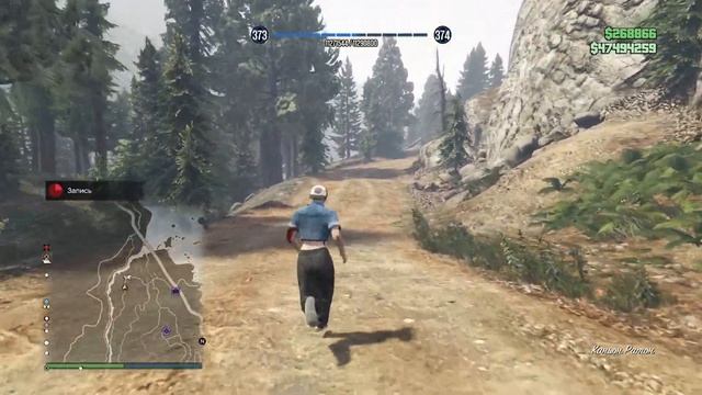 Как найти Пуму для фото охоты в GTA Online смотреть онлайн