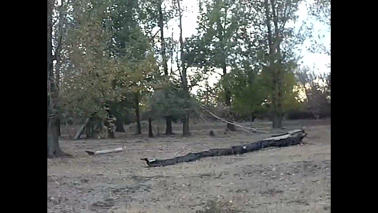 20.10.2024 ЧТО ДЕЛАТЬ? : ЛПХ В ОПАСНОСТИ смотреть онлайн