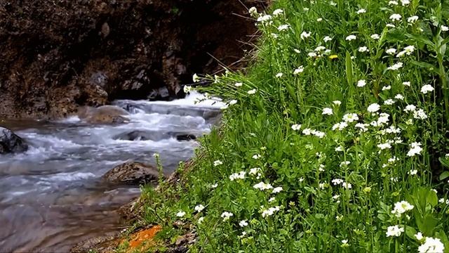 Как лечить коллектора?/ Диалоги с коллекторами смотреть онлайн