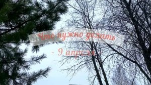 9 апреля День Святой Матроны. Что нельзя делать 9 апреля вторник. Народные традиции и приметы