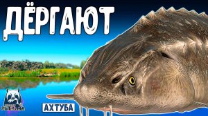 RF4 ОНИ ДЕРГАЮТ НЕ ПРЕДУПРЕЖДАЯ ОПАСНО #рр4