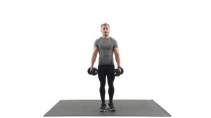 #9 Выпады назад с гантелями. Упражнение для ягодичных мышц.