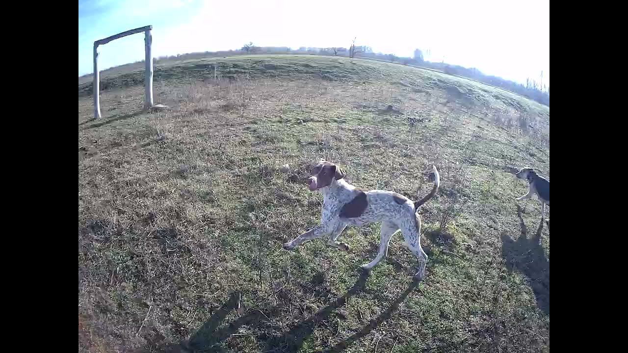 02.01.2024 ЧТО ДЕЛАТЬ? : ЛПХ В ОПАСНОСТИ смотреть онлайн