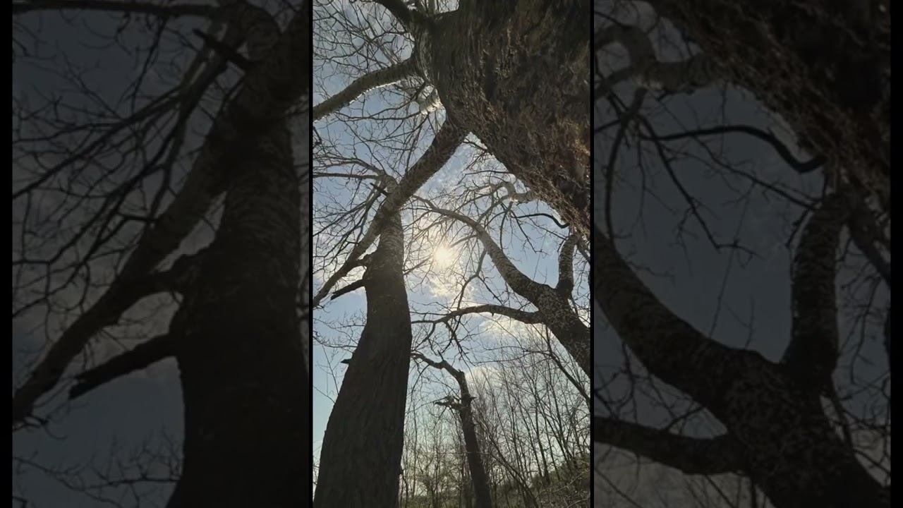 САЗАН НАЧАЛ БРАТЬ #shorts смотреть онлайн