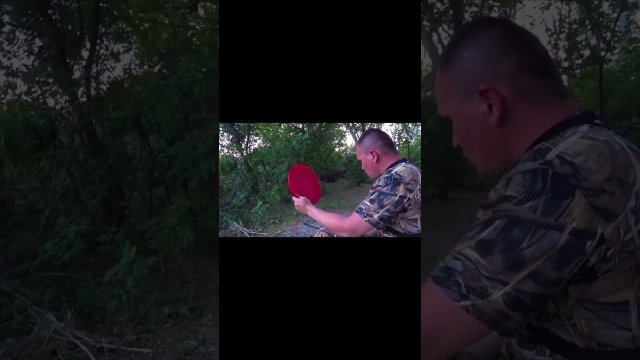 УДОЧКИ В ДУГУ!!! ФРИКЦИОНЫ ДЫМЯТСЯ !!! #shorts смотреть онлайн