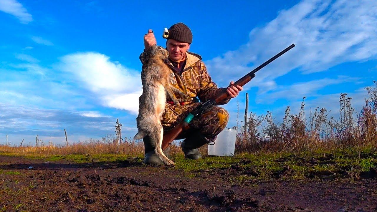 СКОРОСТНОЙ ЧЕРВИВЫЙ ЗАЯЦ !!! смотреть онлайн