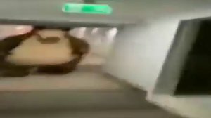 медведь бежит по коридору за мужиком