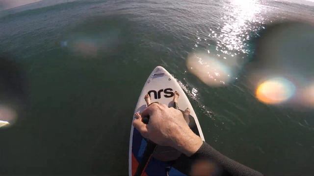 Gracie SUP Surf Doheny смотреть онлайн