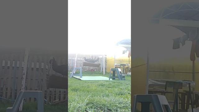 Коронный номер смотреть онлайн