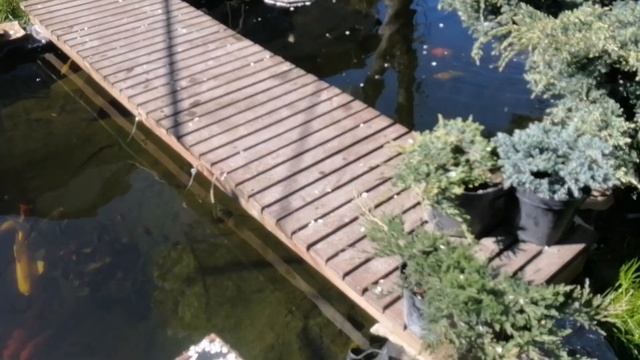 ЧИСТАЯ И ПРОЗРАЧНАЯ ВОДА В ПРУДУ💧🔥 РЕАЛЬНО👍 БАРАБАННЫЙ ФИЛЬТР 60 МИКРОН✅ смотреть онлайн