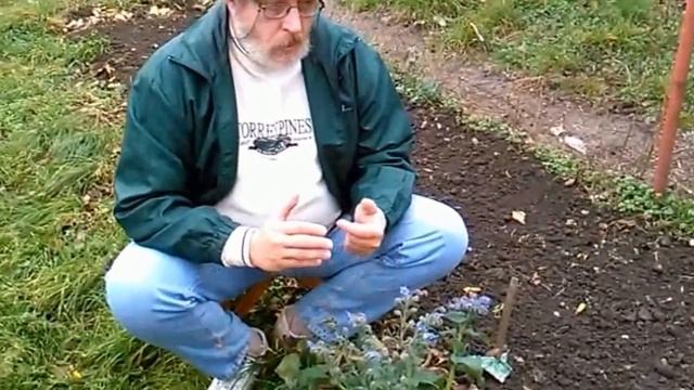 18. Epizoda - Borago officinalis смотреть онлайн