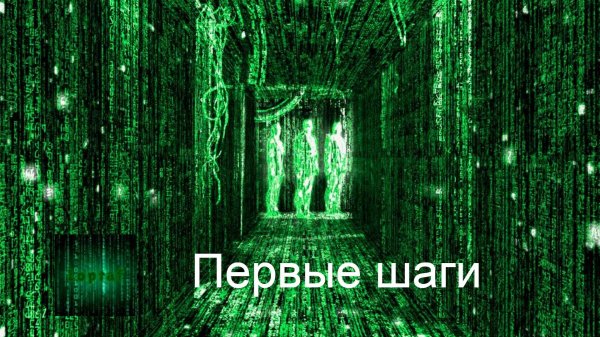 Первые шаги | Python