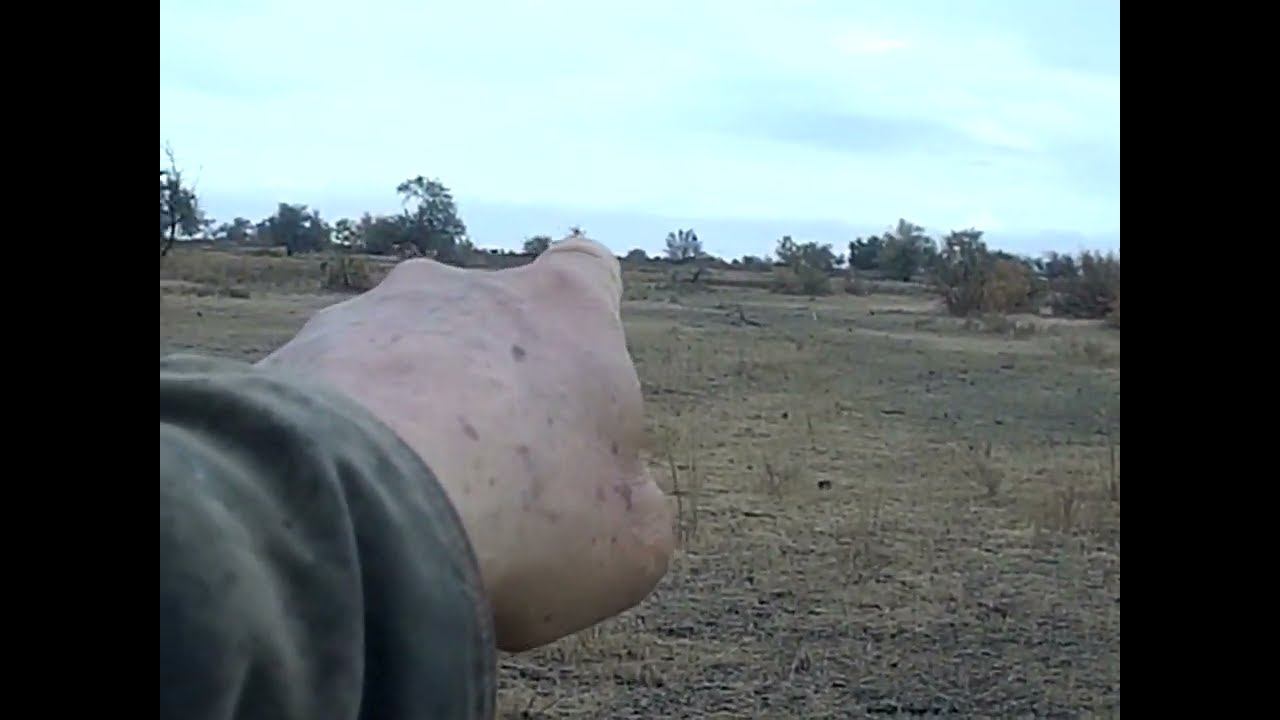 26.10.2024 ЧТО ДЕЛАТЬ? : ЛПХ В ОПАСНОСТИ смотреть онлайн