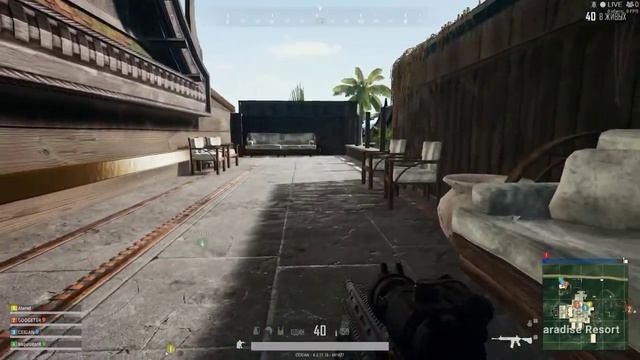 Вегетарианская кухня