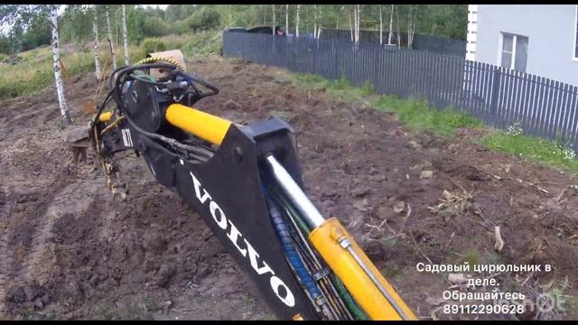 15 июля 2024 г. смотреть онлайн