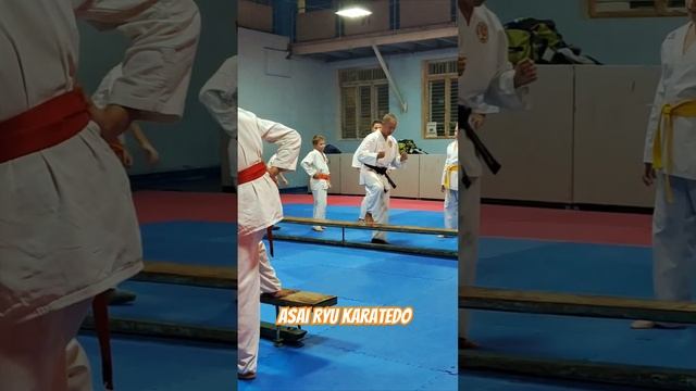 Использование скамейки в тренировочном процессе. #karate #asairyu #каратэ смотреть онлайн