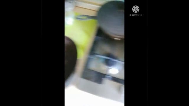 кабачки с соусом и помидорой смотреть онлайн