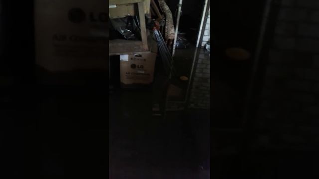 Потоп смотреть онлайн