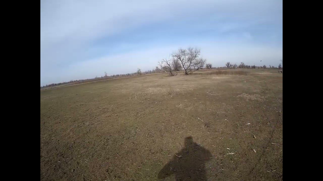 13.02.2024 ЧТО ДЕЛАТЬ? : ЛПХ В ОПАСНОСТИ смотреть онлайн