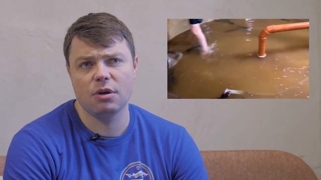 Клариевые сомы на Акваферме смотреть онлайн