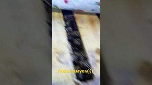 Конец января. Пока зимуем)))