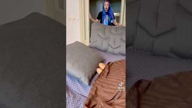 Шип и Мия бойко ❤️ смотреть онлайн