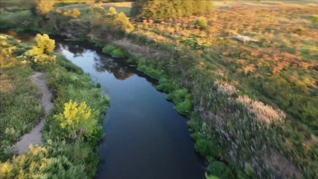 Изгибы Шерны смотреть онлайн