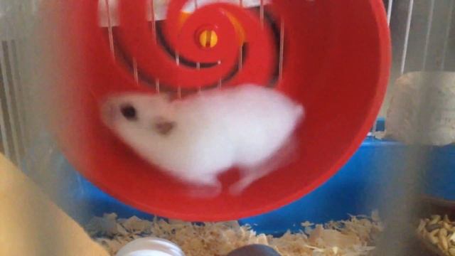 Хамак смотреть онлайн