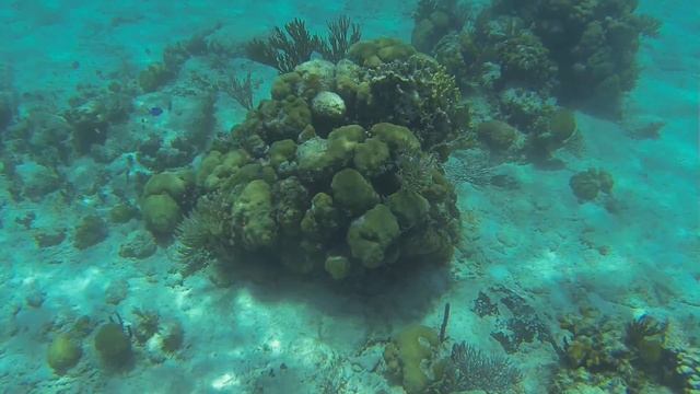 snorkeling @ Bay Of Pigs (Schweinebucht) - Playa Girón - Kuba - 2016.05.03 смотреть онлайн