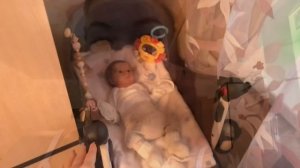 VLOG с реборном Бонни!