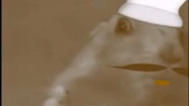 Dramatic Squirrel Mama Mia! смотреть онлайн