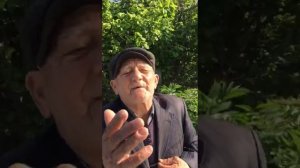 Алимет халу