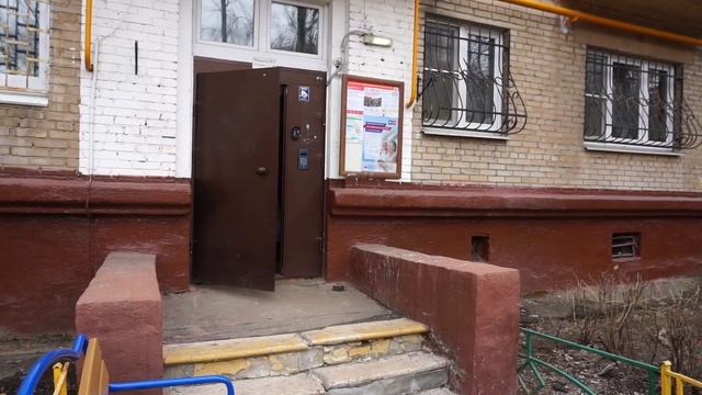 катя адушкина влог