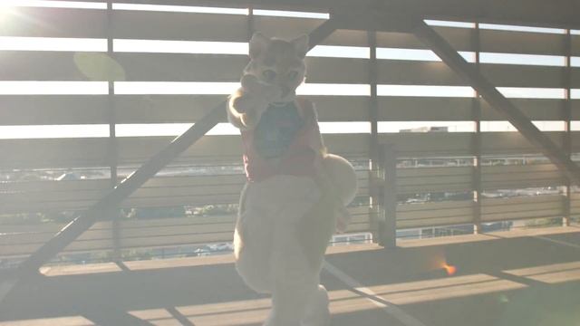 Vanilla Fursuit Dance Video - Bad Boy by Red Velvet смотреть онлайн