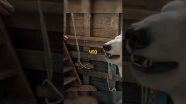 Что умеешь из медьезжего😂 #фильмы #фэнтези смотреть онлайн