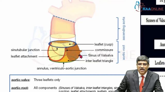 Sinus of Valsalva Aneurysm - Master Class in Cardiology смотреть онлайн
