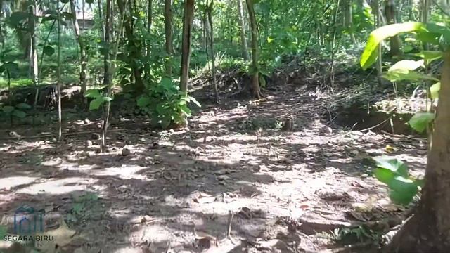 Jual Tanah Pekarangan Murah 175.000/Meter Di Lendah Srandakan Kulon Progo Yogyakarta смотреть онлайн