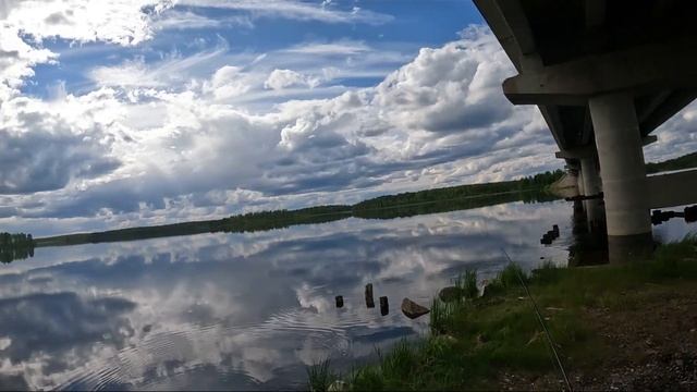 Река Сегежа. Карелия. Окунь!!! смотреть онлайн