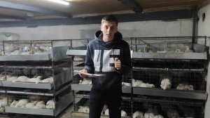 Выгодно ли держать бройлера?