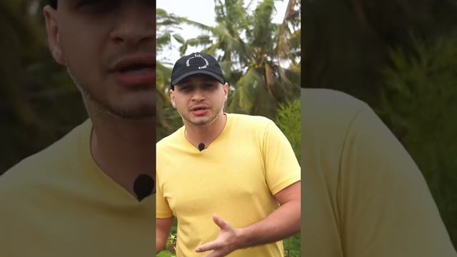 Как найти смысл жизни? смотреть онлайн