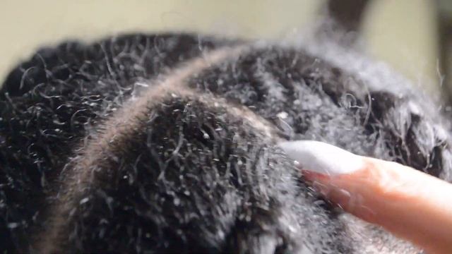 exfoliating scalp | mini-dandruff scratching asmr | coi leray inspired braids смотреть онлайн